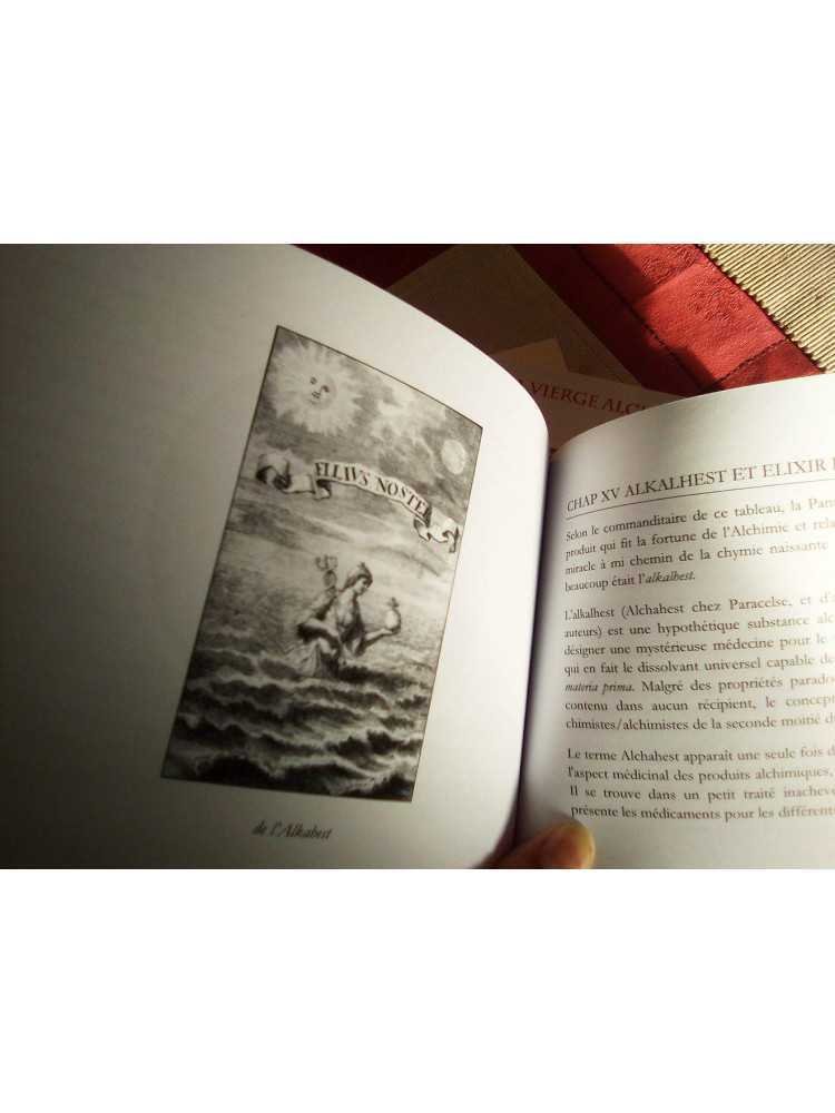 livres|esoterisme|Toysondor|La vierge alchimique de Reims|35,00 €|Livres