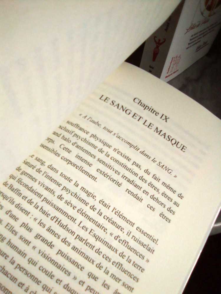 livres|esoterisme|Toysondor|Les trois totémisations|32,00&nbsp;€|Livres