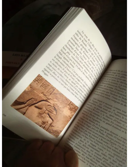 livres|esoterisme|Toysondor|Shemsou Hor|25,00&nbsp;€|Livres