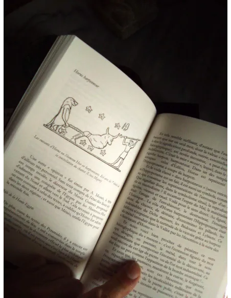 livres|esoterisme|Toysondor|Shemsou Hor|25,00&nbsp;€|Livres