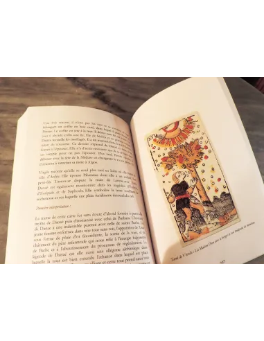 livres|esoterisme|Toysondor|Tarot et livre des morts|29,00&nbsp;€|Livres