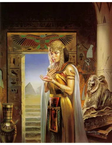 livres|esoterisme|Toysondor|Tarot et livre des morts|29,00&nbsp;€|Livres