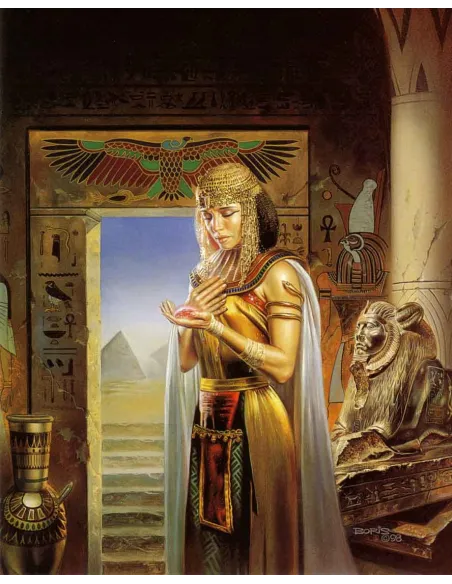 livres|esoterisme|Toysondor|Tarot et livre des morts|29,00&nbsp;€|Livres