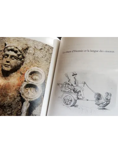 livres|esoterisme|Toysondor|Le mythe d’Hermès|30,00&nbsp;€|Livres