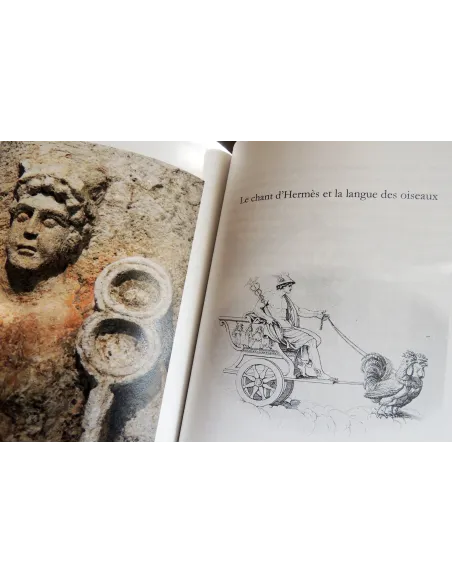 livres|esoterisme|Toysondor|Le mythe d’Hermès|30,00&nbsp;€|Livres