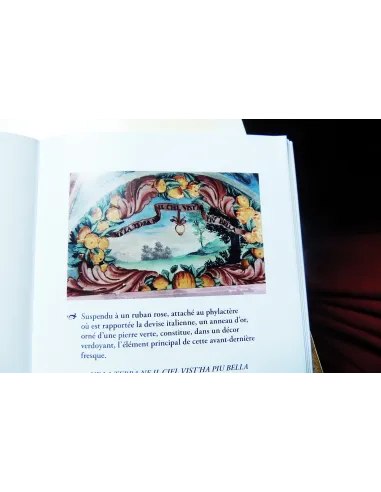 livres|esoterisme|Toysondor|Les fresques alchimiques du monastère de Cimiez|24,00&nbsp;€|Livres