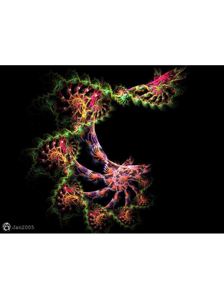 livres|esoterisme|Toysondor|La révélation primitive|29,00&nbsp;€|Livres