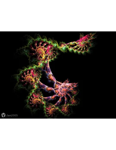 livres|esoterisme|Toysondor|La révélation primitive|29,00&nbsp;€|Livres