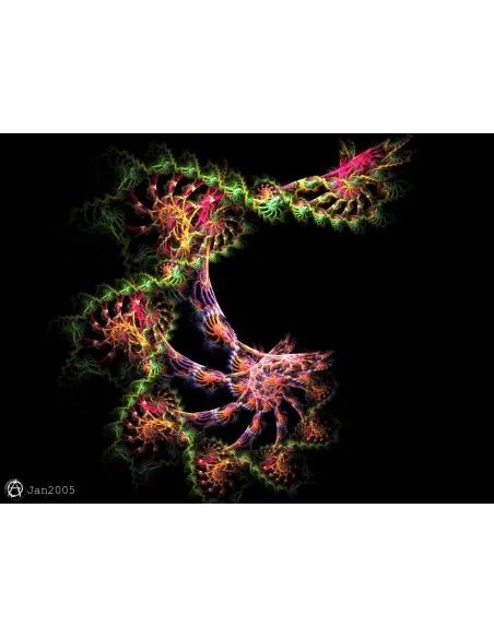 livres|esoterisme|Toysondor|La révélation primitive|29,00&nbsp;€|Livres