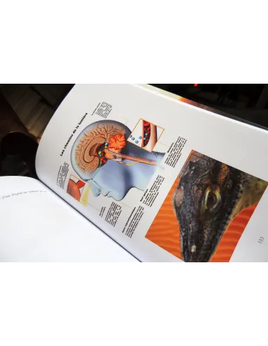 livres|esoterisme|Toysondor|La Saga des origines|30,00&nbsp;€|Livres