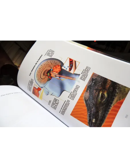 livres|esoterisme|Toysondor|La Saga des origines|30,00&nbsp;€|Livres