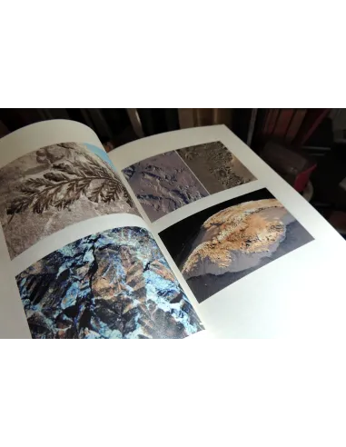 livres|esoterisme|Toysondor|La Saga des origines|30,00&nbsp;€|Livres