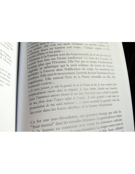 livres|esoterisme|Toysondor|Le matin des magiciennes|29,00&nbsp;€|Livres